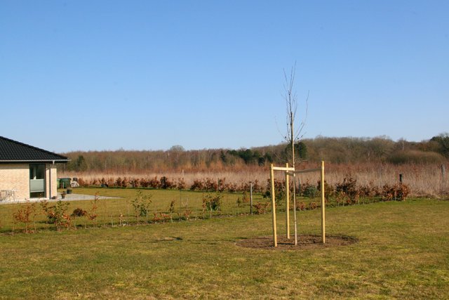 Byggegrunde nær skov